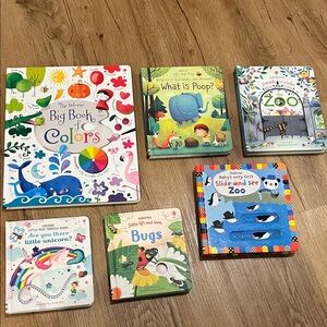 The Usborne books set / Big Book of Colors for Kids